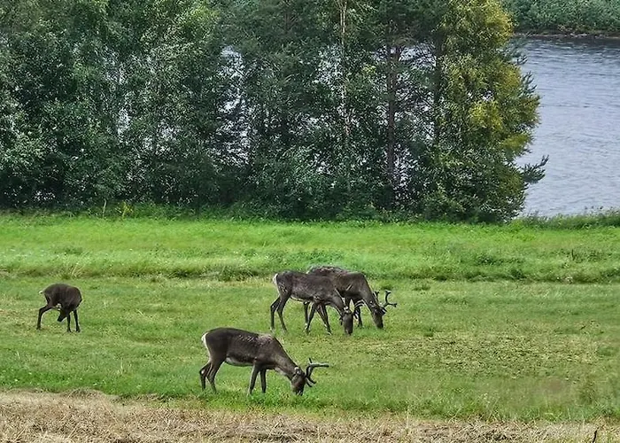 Loma-asunnot Lappish Summerhouse By The River *